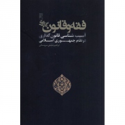 فقه و قانون‌گذاری، آسیب‌شناسی قانون‌گذاری در نظام جمهوری اسلامی ایران